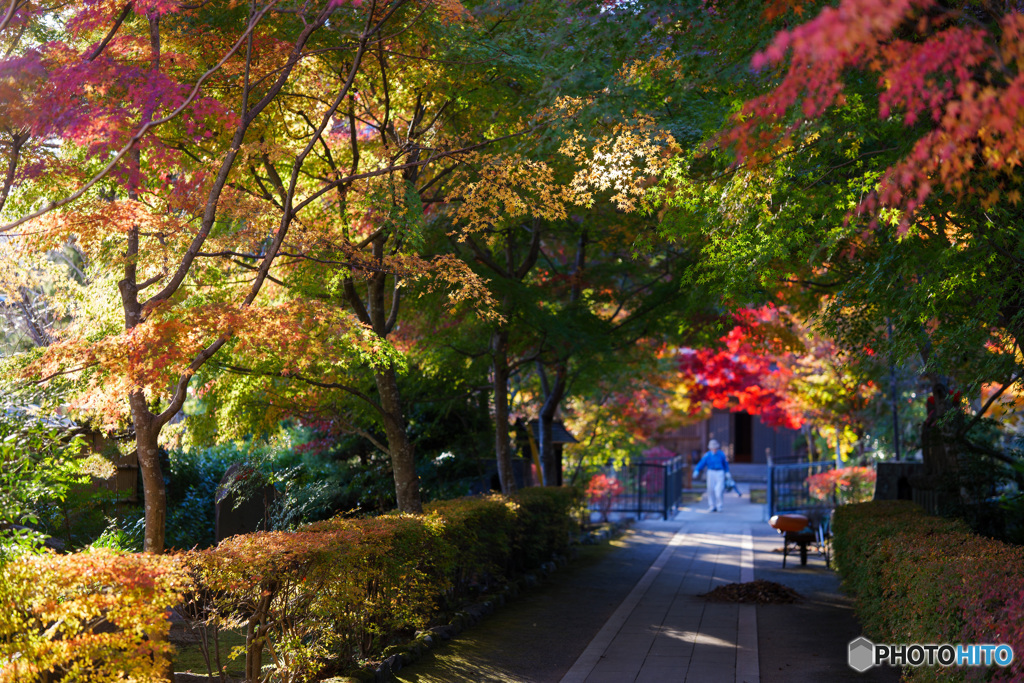 宝蓮寺