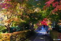 宝蓮寺