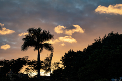 CEBUの夕景