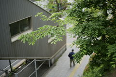 緑