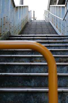 LUMIX S5 試写