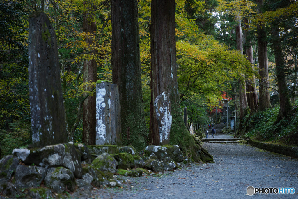 大雄山最乗寺