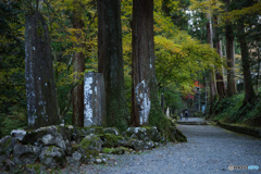 大雄山最乗寺