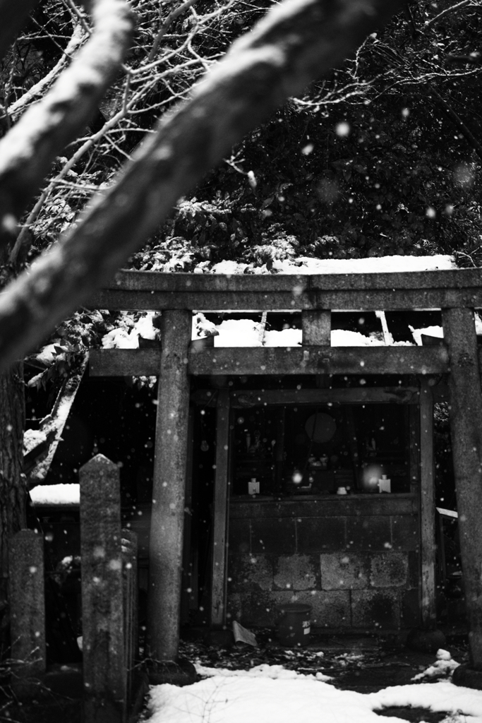 雪の時