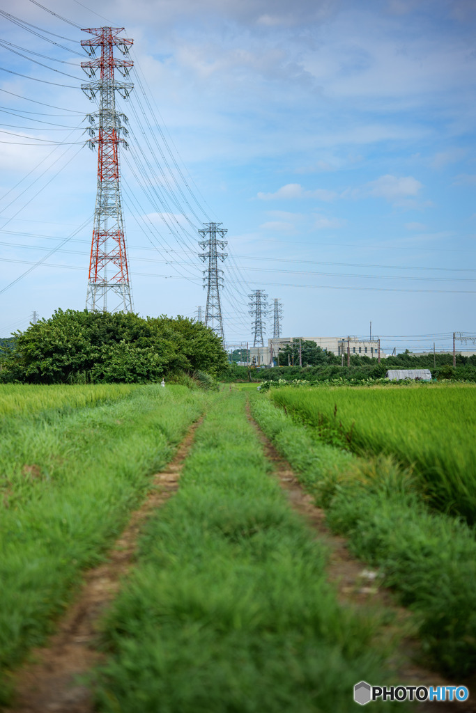 秦野線