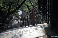 俯瞰