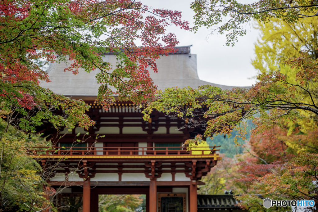 門