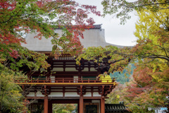 門