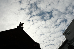空