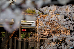 阪急さくら夙川