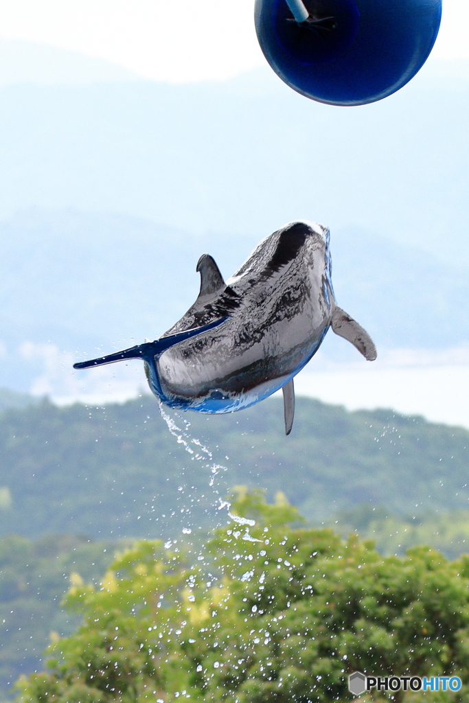 ジャンプ！