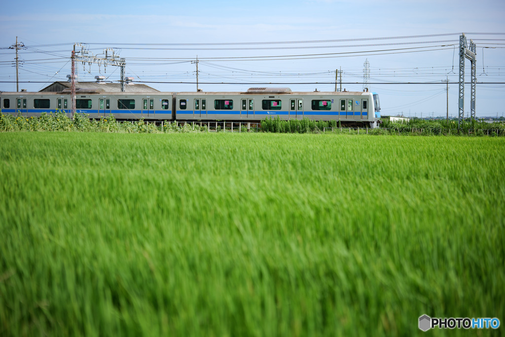 田を駆ける