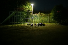 夜の集会