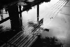 同心円