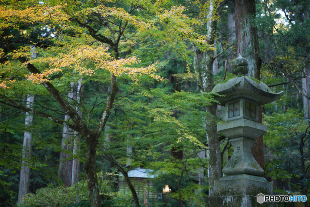 大雄山最乗寺