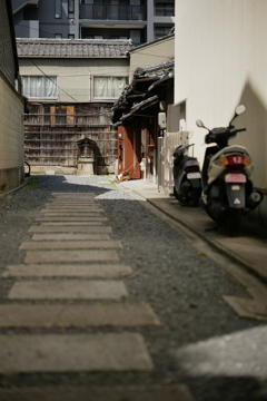 社