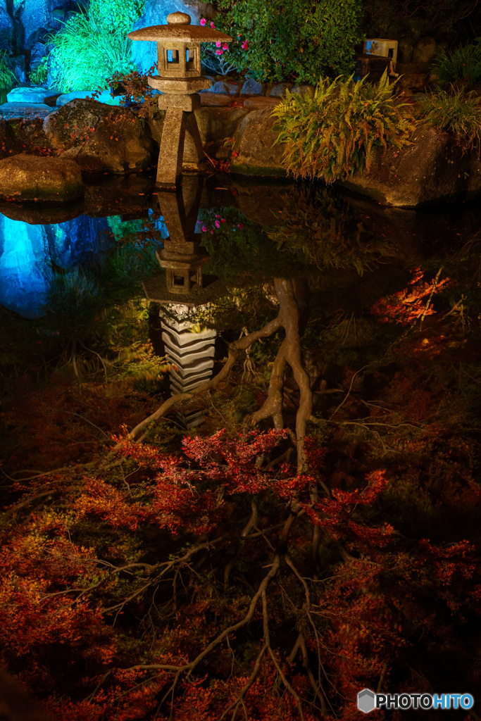 Reflection