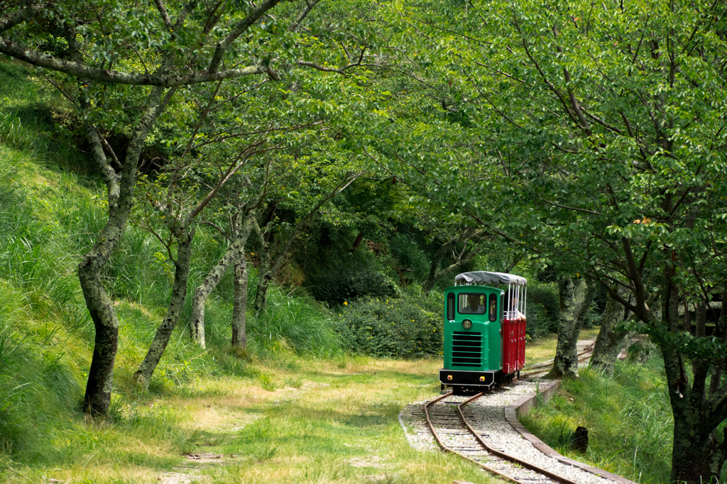 かわいい電車