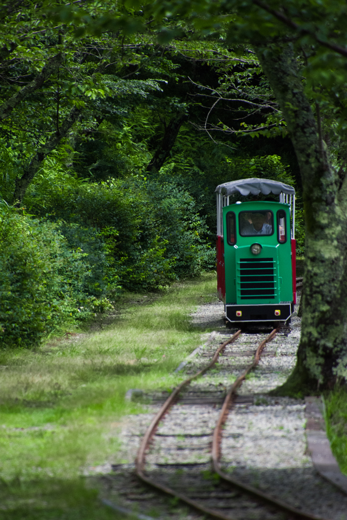 かわいい電車２