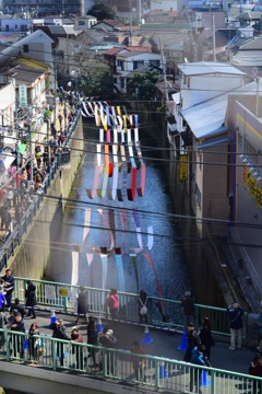 染物の川