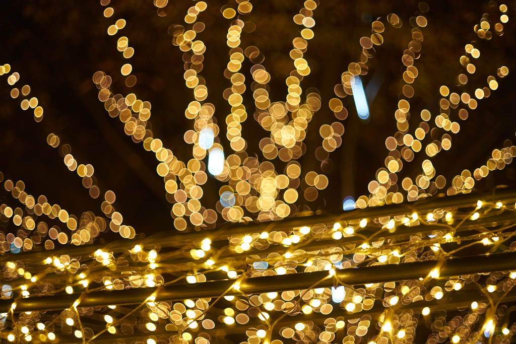 Illumination ３