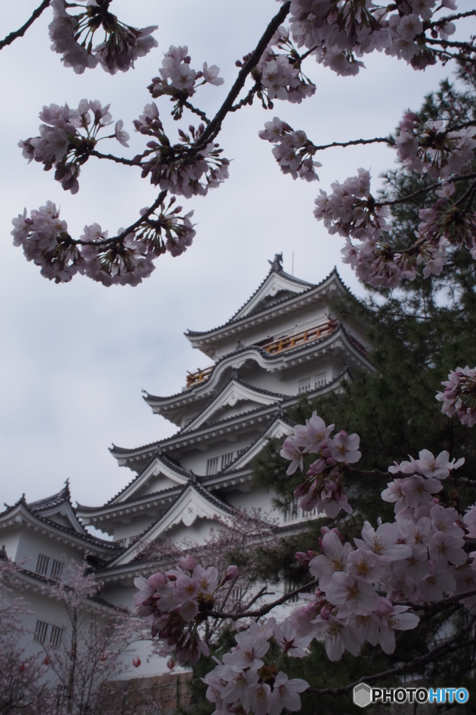 福山城の春