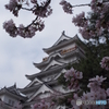 福山城の春