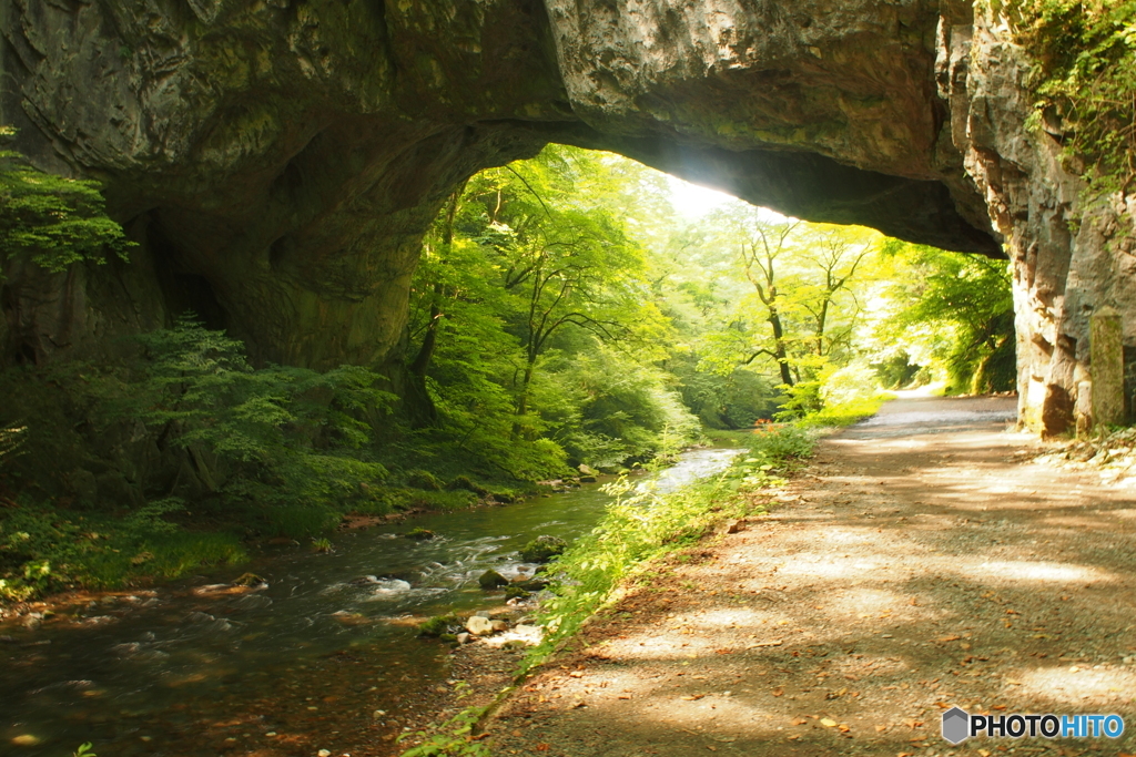 一緒にお散歩♪　　～帝釈峡　雄橋～