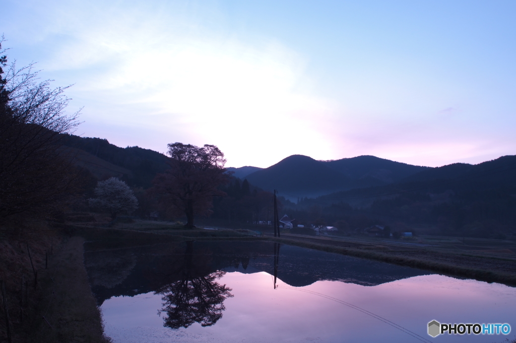 東城　千鳥別尺　来年こそ会いたい・・・