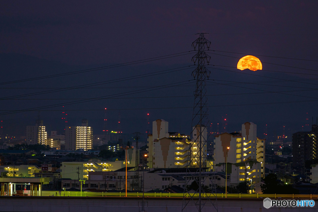 だいだい月