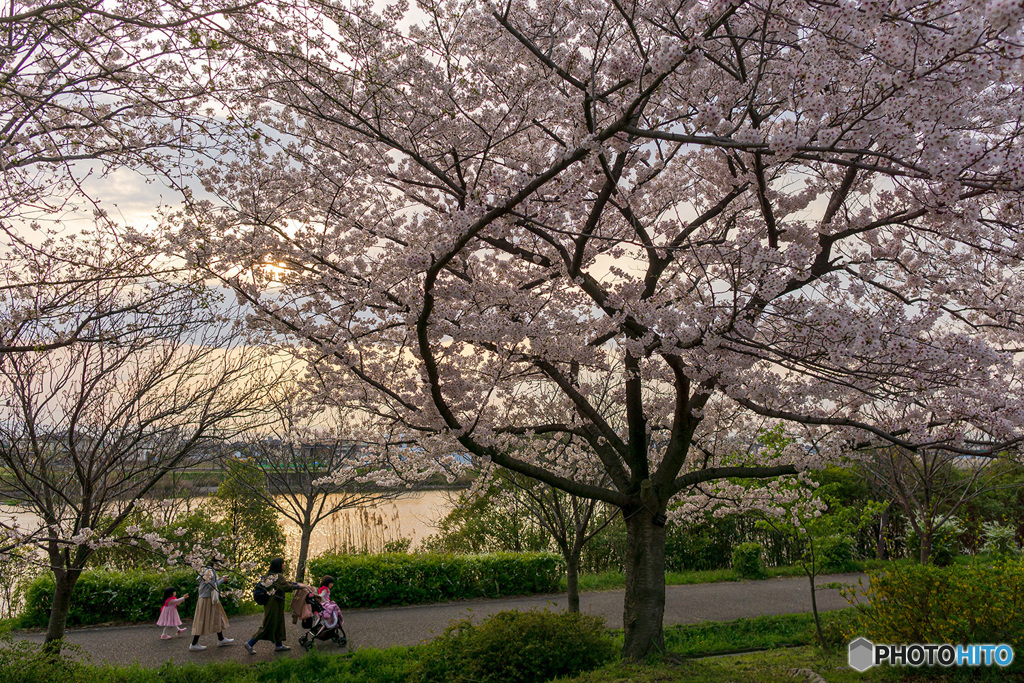 市民公園②