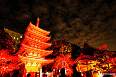博多千年煌夜　東長寺　ライトアップ