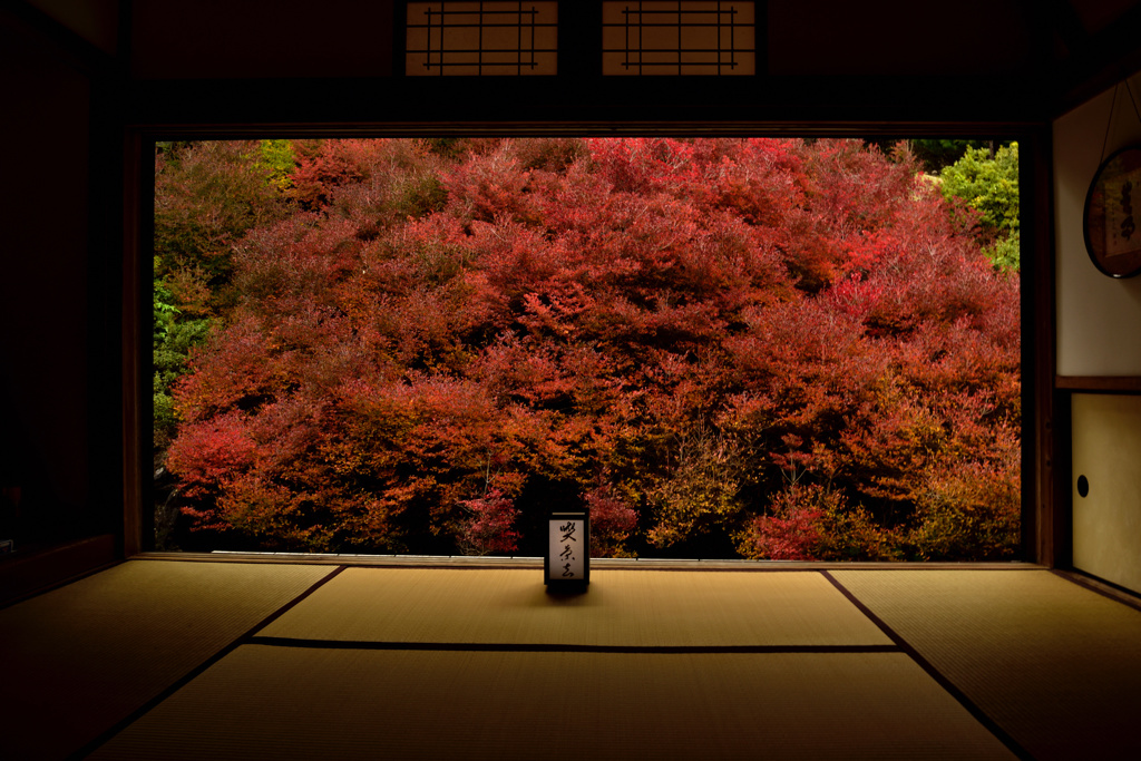 安国寺にて夕暮れを待つ