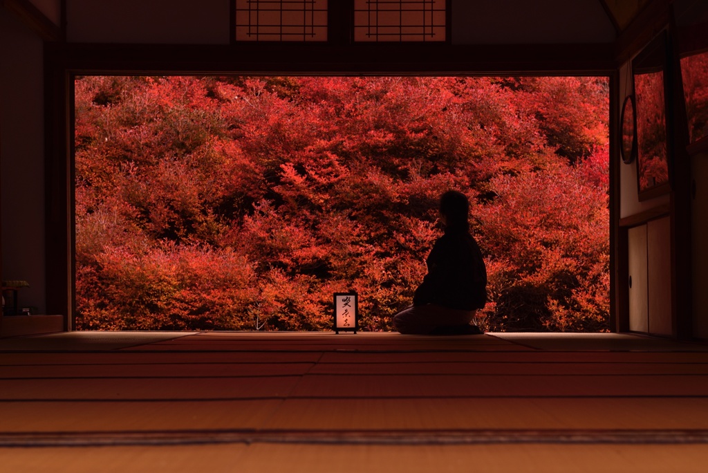 安国寺の紅葉_1