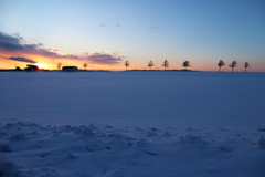 大地の夕暮れ