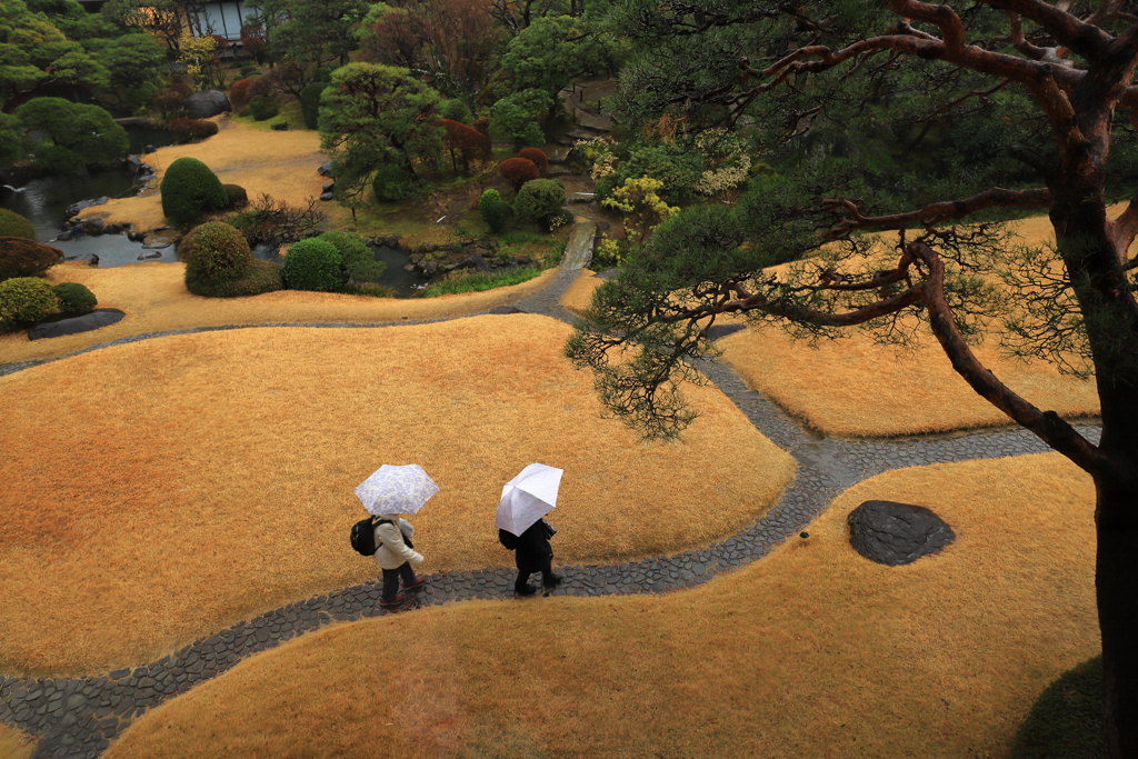 ひと雨ごとに