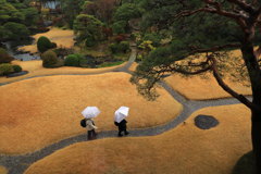 ひと雨ごとに