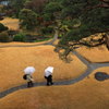 ひと雨ごとに