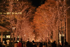 丸の内の夜