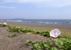 初夏の風を感じて