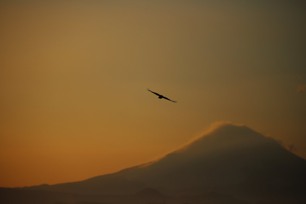 夕空に