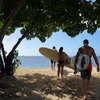 Waikiki Surfer