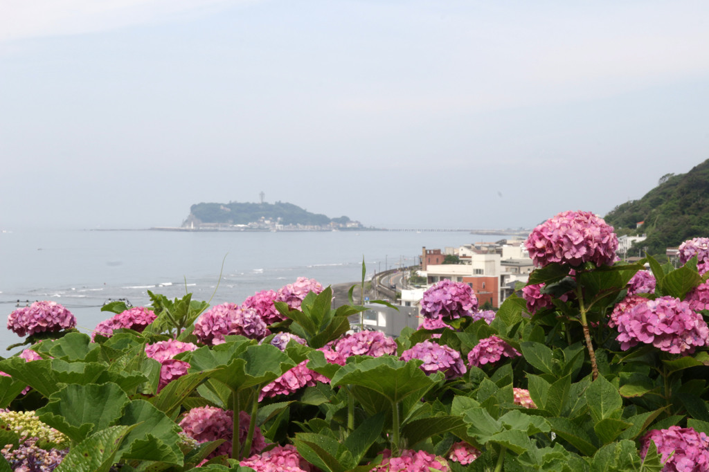 江の島をバックに