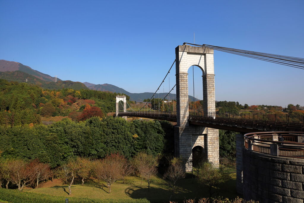 小春日和の丹沢山麓