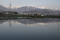 水田に写る