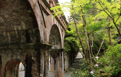 新緑の水路閣