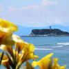 江の島遠望