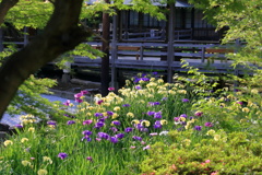 寺院の中庭で