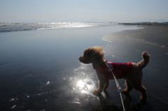 海を見つめて