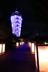 江の島の夜